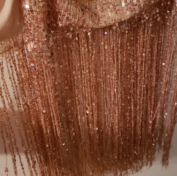 Fringed Sequin Rouched Dress NWOT M and S - Picture 4 of 4